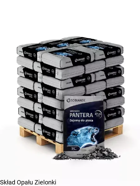 pantera_na_palecie_sklep.jpg
