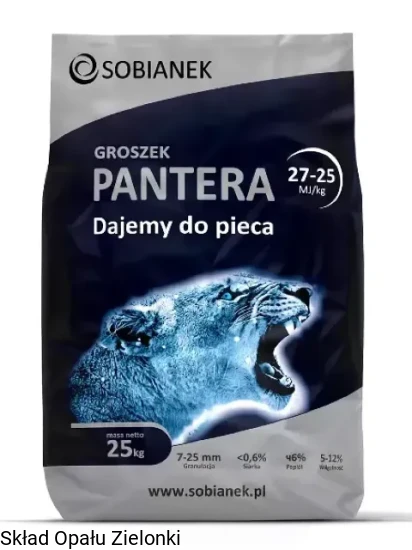 pantera-.jpg